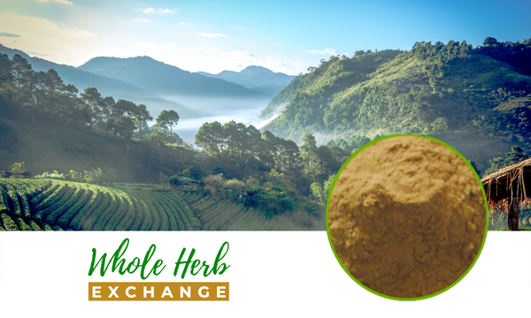 Areca Husk Full-Spectrum Extract Powder | Whole Herb Exchange