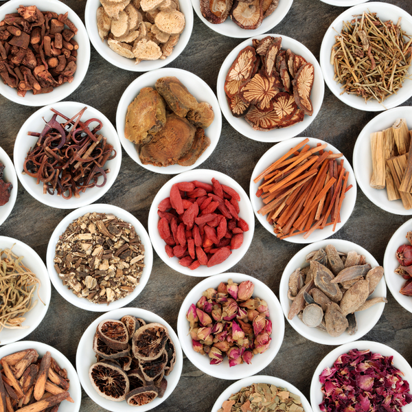 Stemona Root Bulk Raw Herb