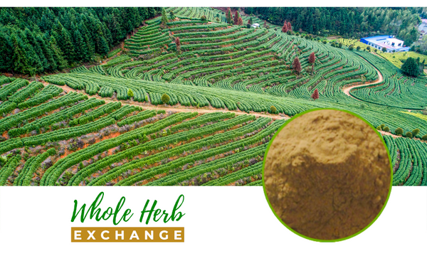 Sappan Wood Full-Spectrum Extract Powder | Whole Herb Exchange