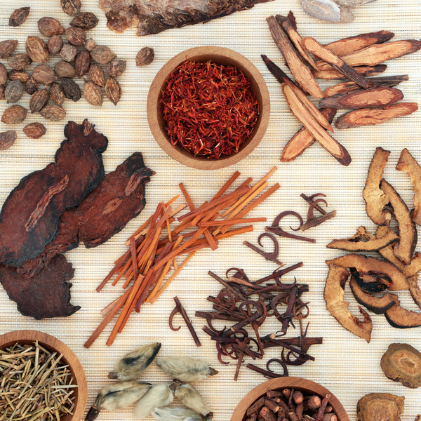 Schizonepeta Herb (Carbonized) Bulk Raw Herb