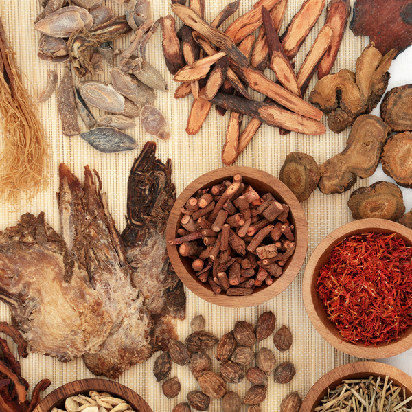 Flowery Knotweed Root (Processed) Bulk Raw Herb