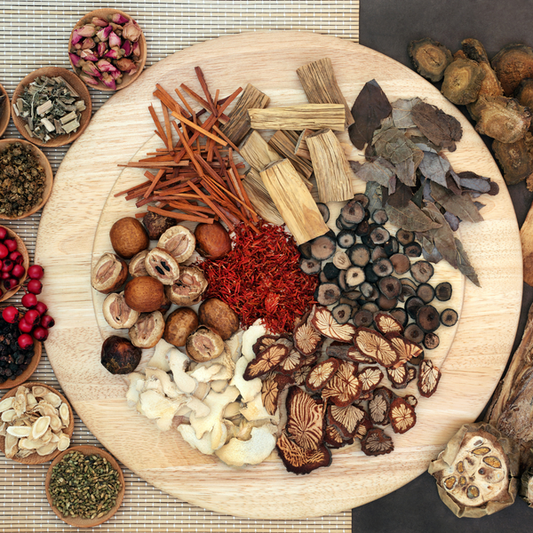 Evodia Fruit (Processed) Bulk Raw Herb