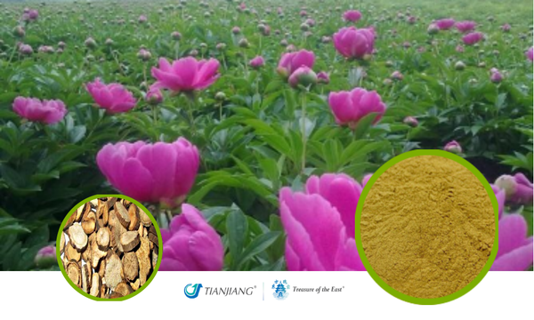 Red Peony Root Full-Spectrum Extract Granules