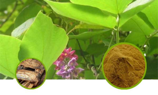 Kudzuvine Root Full-Spectrum Extract Powder