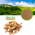 Chinese Angelica Root Raw Herb Powder