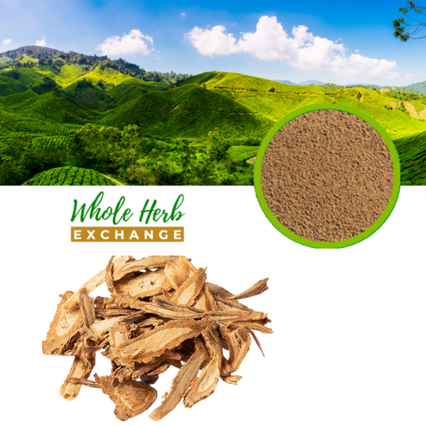 Chinese Angelica Root Raw Herb Powder