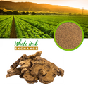Szechwan Lovage Rhizome Raw Herb Powder