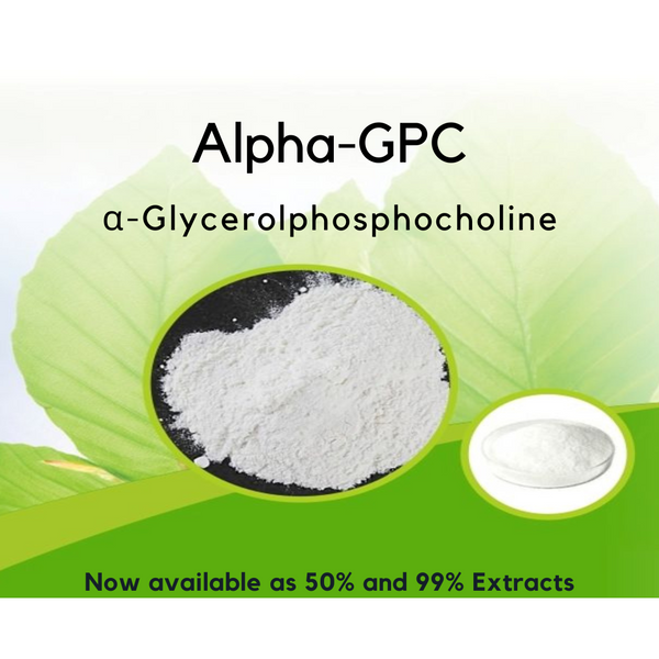 Alpha GPC 50% Functional Ingredient Powder